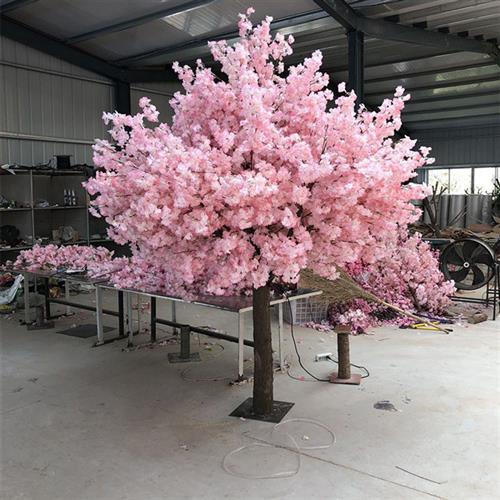 仿真樱花树盆景出售会展广场仿真大树道路景观装饰加密仿真花树