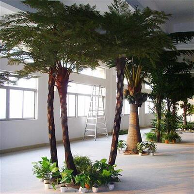 东莞仿真植物桫椤树仿真桫椤树系列各种景观工程仿真娑罗树定制