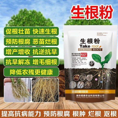 强力生根粉生根壮苗剂水溶肥魔力根多多冲施果树蔬菜水果促进生根