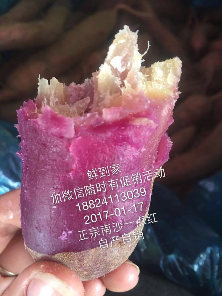5斤南沙一点红蕃薯蕉门花心栗薯香薯新鲜特产番薯板薯冰淇淋红薯
