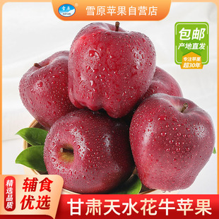 新鲜水果10斤产地直发粉面刮泥 甘肃天水花牛苹果当季 原生态