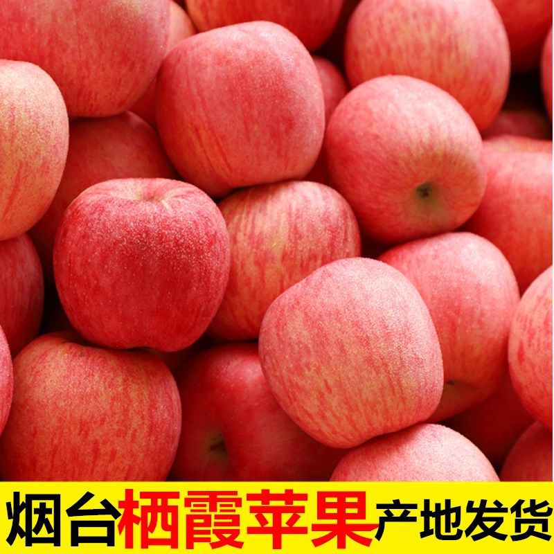 农家红富士糖心整箱山东苹果10栖霞新鲜一级当季水果烟台正宗