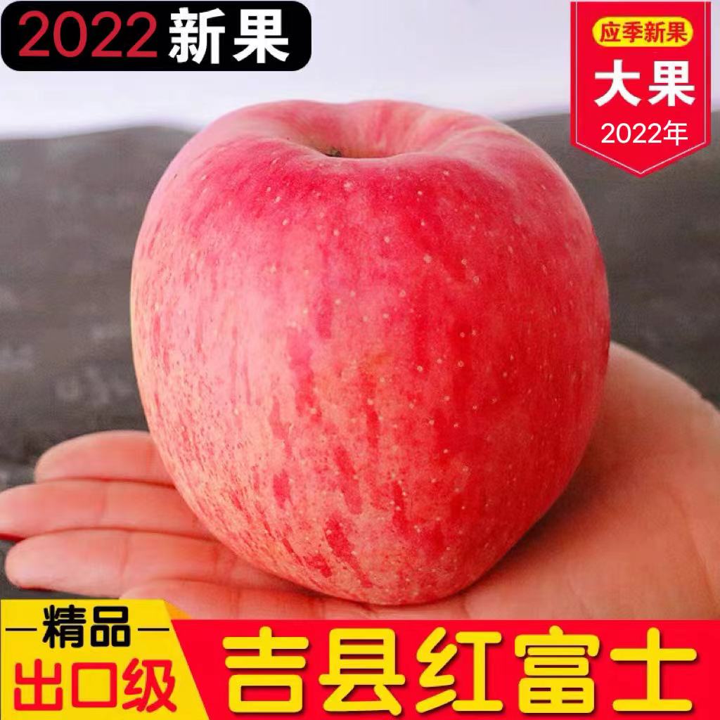 20宏口福山西吉县红富士苹果