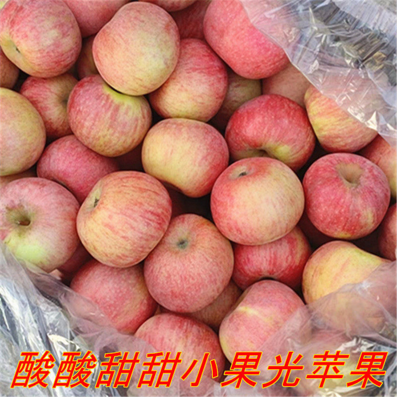 国光苹果正宗东北小国光酸甜老树小苹果孕妇新鲜水果青红应季水果