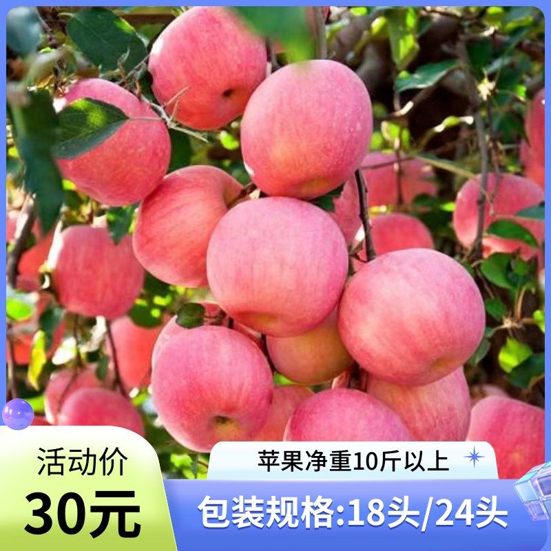 陕西铜川红富士苹果淘水果菜菜超市新鲜特级10斤孕妇脆甜多汁