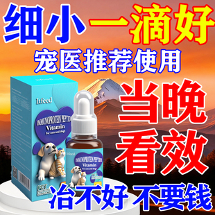 狗狗细小病毒特效犬瘟药治疗药套餐呕吐肠胃炎拉稀便血抽搐专用药