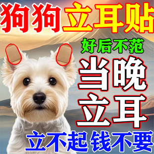 狗狗立耳神器钙片立耳贴小狗雪纳瑞杜宾犬边牧柯基德牧立耳辅助器