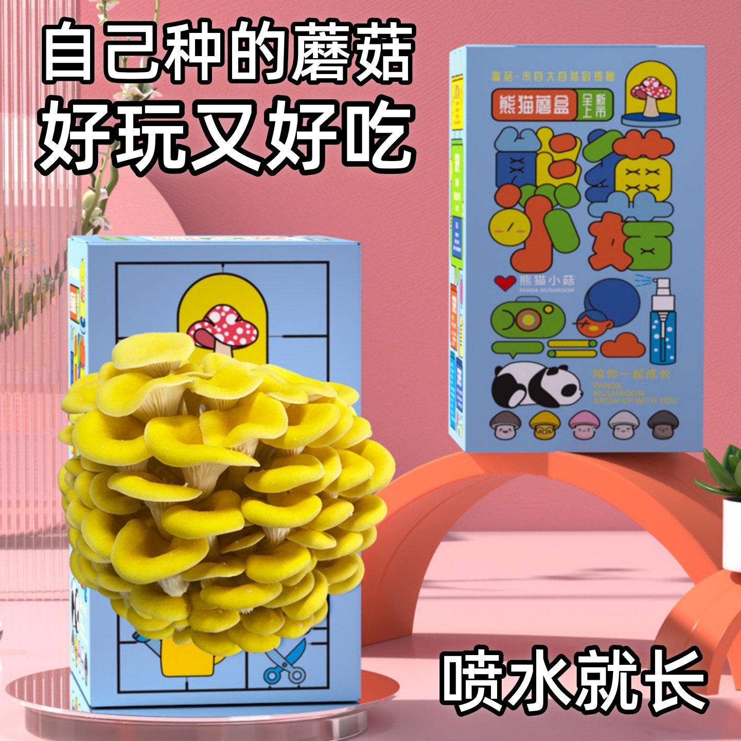 儿童手工种植蘑菇趣味平菇