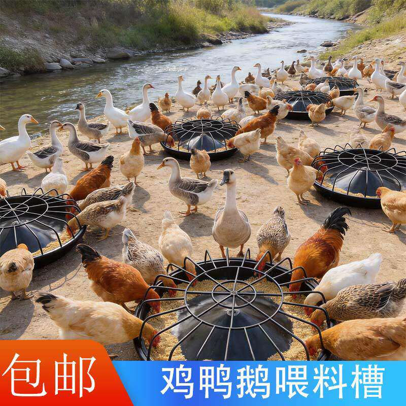 喂鸡食槽打不翻鸡食槽圆形鸭盆加厚喂鸭小鸡神器喂鸡神器