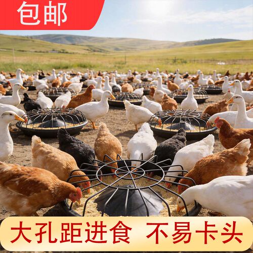 新款自动鸡鸭喂食器喂食槽散养鸡打不翻喂水喂食清洗方便喂鸡食槽