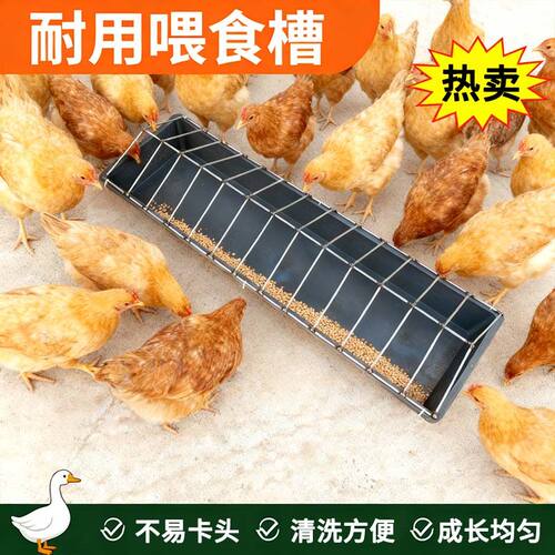 长方形家禽自动喂料槽防翻倒