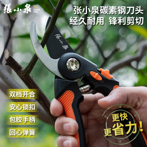 张小泉新款剪枝剪刀强力树枝修果树花剪园林绿化工具枝剪园艺剪刀