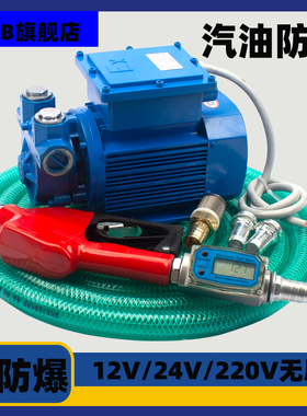 12v24v220v大流量防爆泵电瓶无刷电机甲醇抽油泵汽油柴油自吸抽油