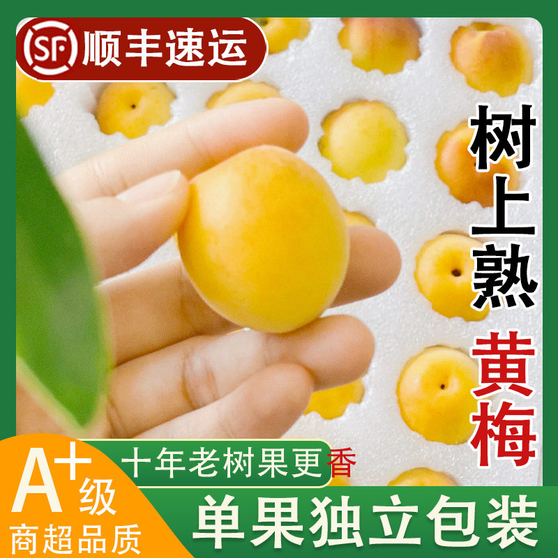 2025新鲜黄梅4斤大果青梅鲜果诏安青梅泡酒酵素酸熟梅子现货福建