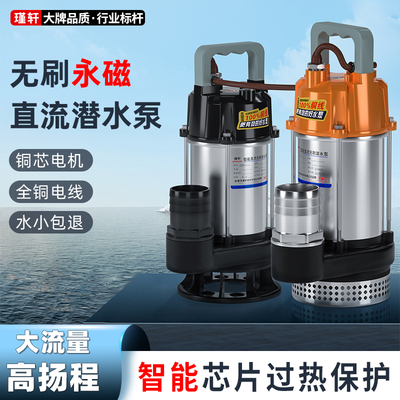 永磁无刷直流潜水泵48v60v72v