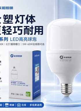 欧和照明Q7系列LED高亮球泡9W全塑灯体白光6500K节能灯泡