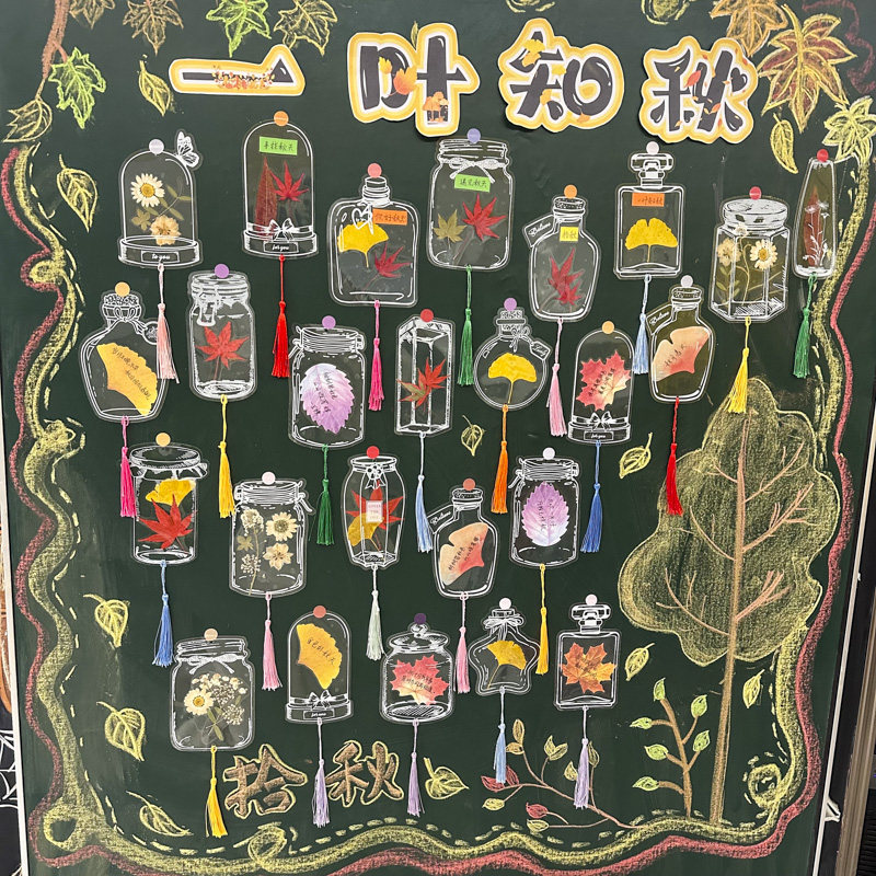 一叶知秋班级文化墙创意黑板报幼儿园拾秋天手工书签DIY材料环创布置装饰透明瓶子贴纸树叶子植物标本塑封膜