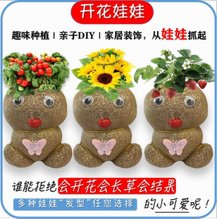 开花娃娃新款草头娃娃小植物盆栽室内阳台抖音同款可爱桌面摆件