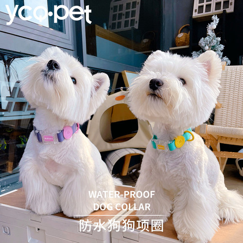 狗狗项圈防水硅胶尼龙材质脖圈