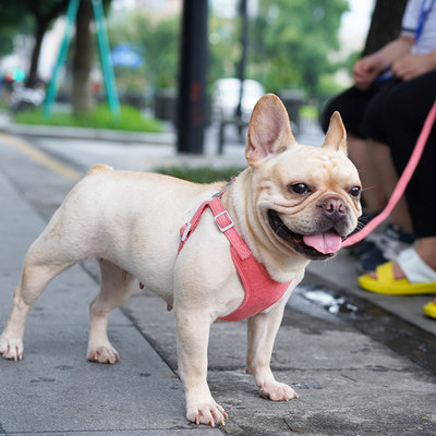 牵好狗子 狗狗牵引绳狗背心式狗绳遛狗链子小型犬胸背带法斗绳子