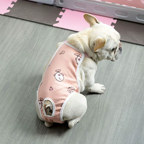 Физиологические штаны для собак, сука, женская тетя брюки менструация, Корхи Тедди, посвященные анти -межканья