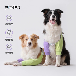 狗狗护肘衣前腿关节保护套宠物关节衣边牧金毛大型犬护膝衣狗衣服