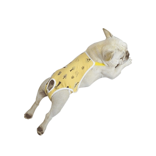 狗狗生理裤母狗女狗姨妈裤经期法斗柯基泰迪专用防交配神器避孕裤