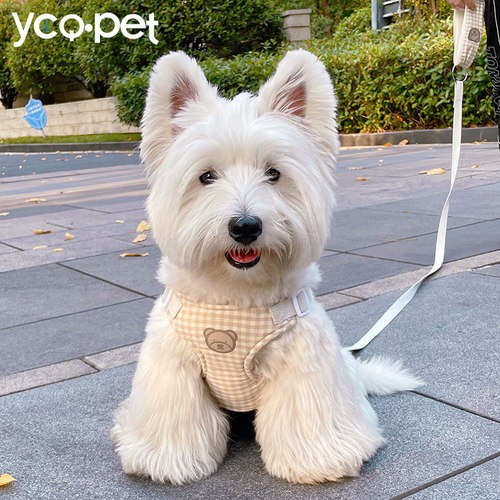 IN可爱小熊系列胸背狗狗牵引绳