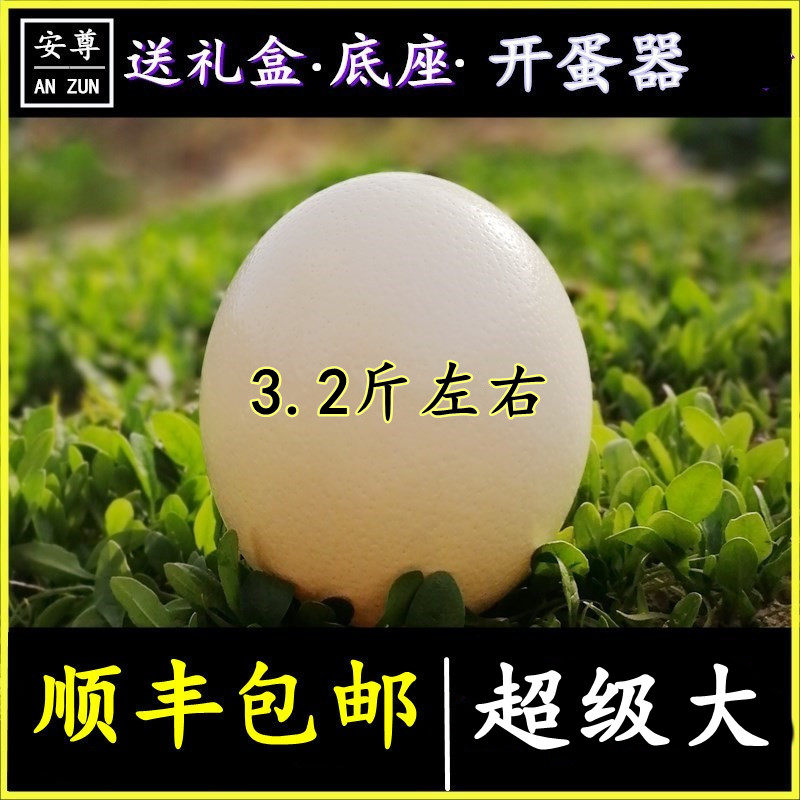 3斤包邮顺丰鸵鸟蛋超特大号新鲜可食用鸸鹋蛋超大