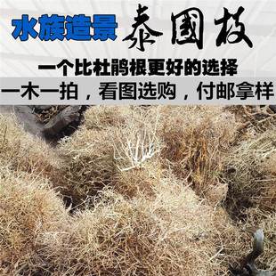 泰国沉木迎客松树枝南美缸巴西莫斯树草缸杜鹃根拼接树按斤包邮