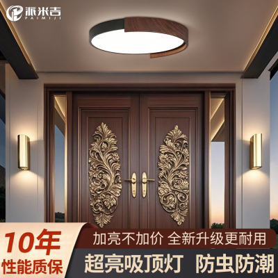 别墅大门口专用吸顶灯-防潮防虫