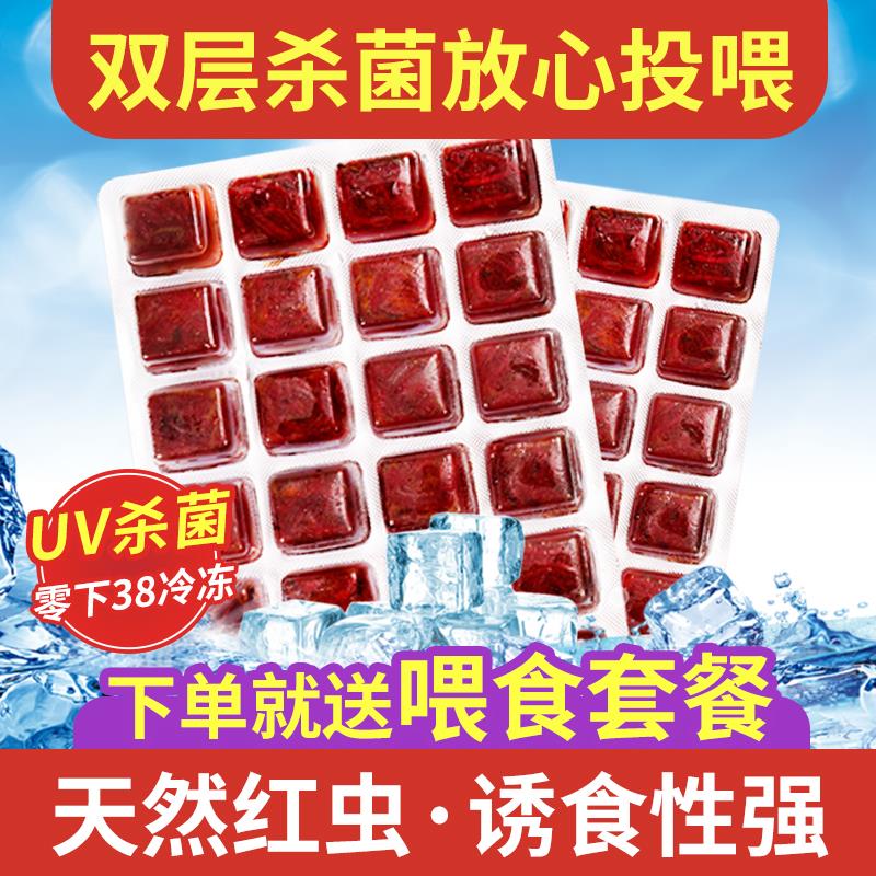 冰冻红虫鱼食丰年虾牛心汉堡幼鱼饲料红线虫罗汉鱼粮七彩神仙鱼食