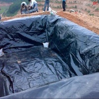 魚塘防滲膜加厚土工膜黑色塑料膜地膜防漏水池塘防水布魚池專用