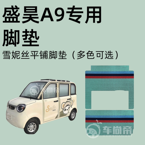 【盛昊A9/mini专用脚垫】4门电动四轮车脚垫雪妮丝丝圈脚踏垫