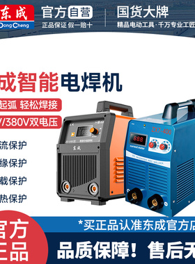 东成电焊机220v家用380v工业级便携式东城双电压智能焊接神器焊机