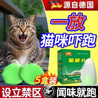 驱猫神器室外强力除赶2025新款