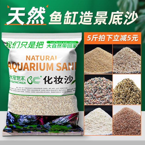 菲律宾沙底砂珊瑚砂草白色贝壳沙