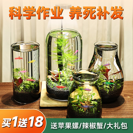 带LED灯迷你水族箱创意diy生态瓶鱼微景观办公桌面小型玻璃鱼缸