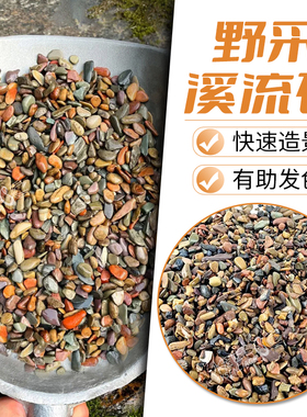 鱼缸底砂川藏沙天然溪流砂水族溪流石原生缸造景石龟缸晒背爬台石