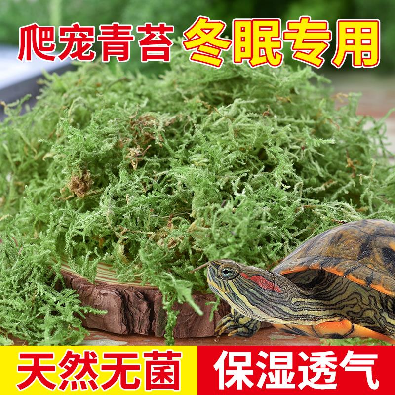 乌龟冬眠干苔藓爬宠专用苔藓冬眠的窝青苔智利水苔椰土椰砖专用土