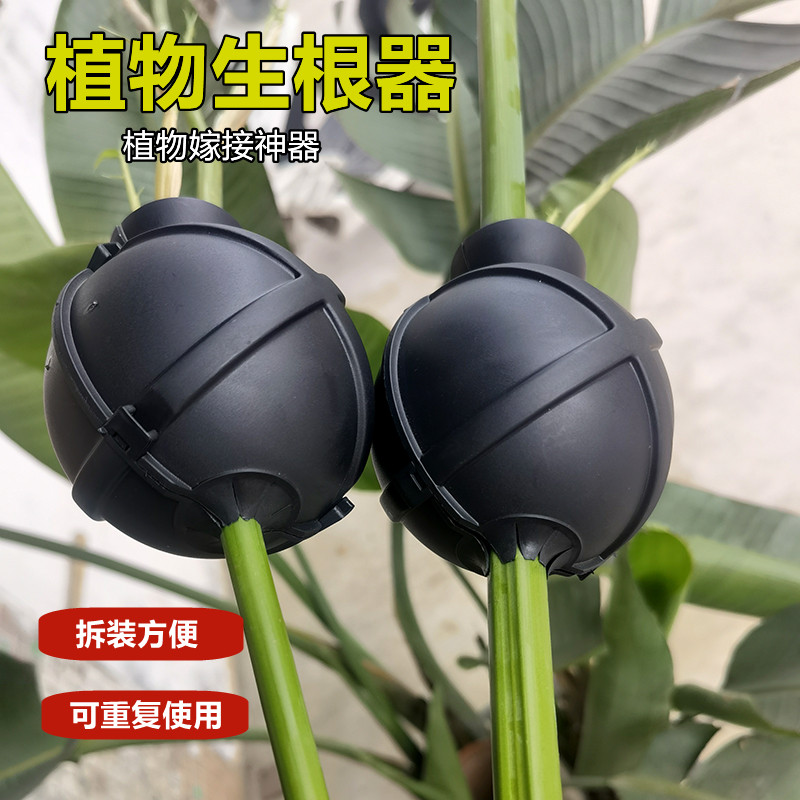 高壓盒植物高壓生根盒扦插嫁接育苗果樹園林高空壓枝生根神繁殖球