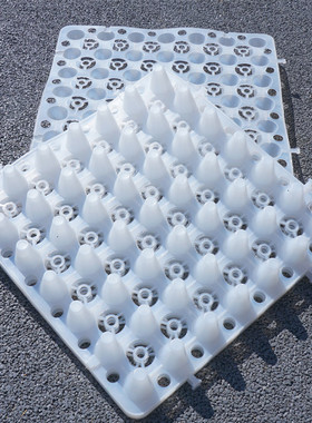 白色屋顶绿化楼顶种菜蓄排水板疏水板滤水板土工布蓄水隔热全新料