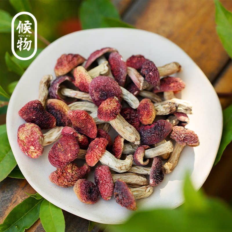 候物 精选武夷山红菇200g干货正宗野外小红菇月子菇红香菇汤料