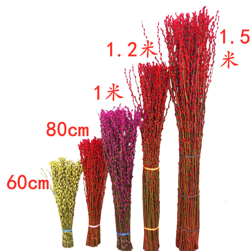 银柳真花鲜枝年宵花卉红色干花福桶银柳水培植物鲜花客厅室内装饰