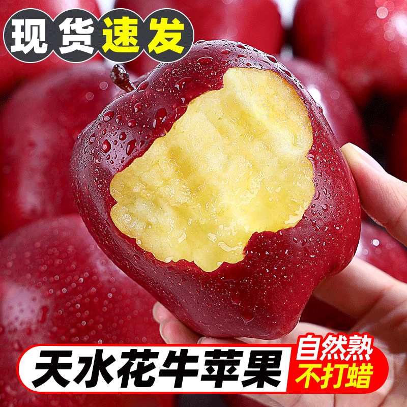 正宗甘肃天水花牛苹果10斤包邮新鲜水果当季红蛇平果整箱粉苹果5