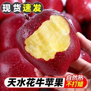 红蛇平果整箱粉苹果5 新鲜水果当季 正宗甘肃天水花牛苹果10斤 包邮