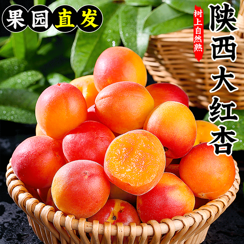 现摘陕西脂胭杏红杏杏子新鲜水果4斤应当季整箱鲜杏包邮孕妇甜仁