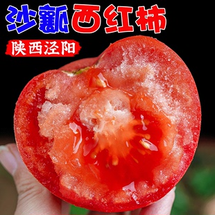 包邮 生吃大番茄 陕西泾阳普罗旺斯沙瓤水果西红柿5斤新鲜蔬菜当季