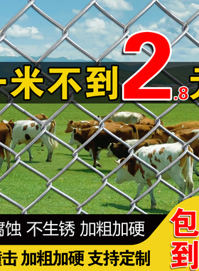 镀锌养殖铁丝网围栏钢丝网养鸡护栏网铁网格网防护网农村户外围栏