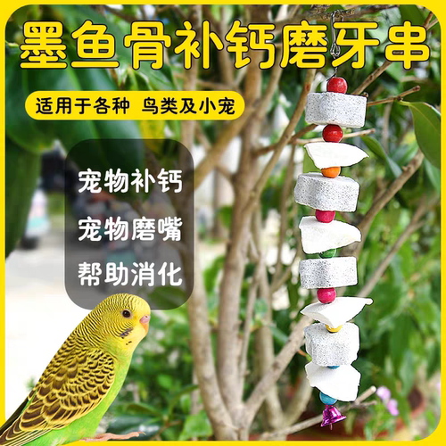 鹦鹉博士鹦鹉仓鼠磨牙啃咬零食补钙墨鱼骨牡丹玄凤虎皮小中大鸟类